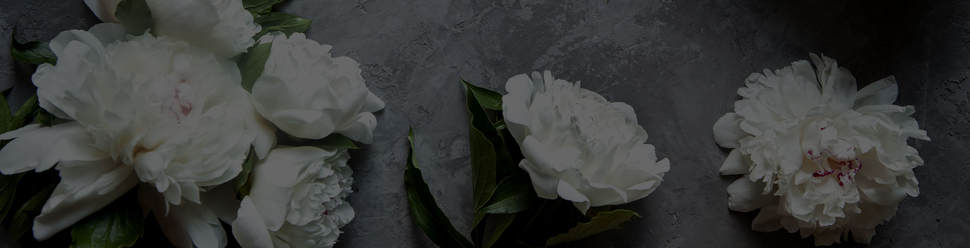 title peonies